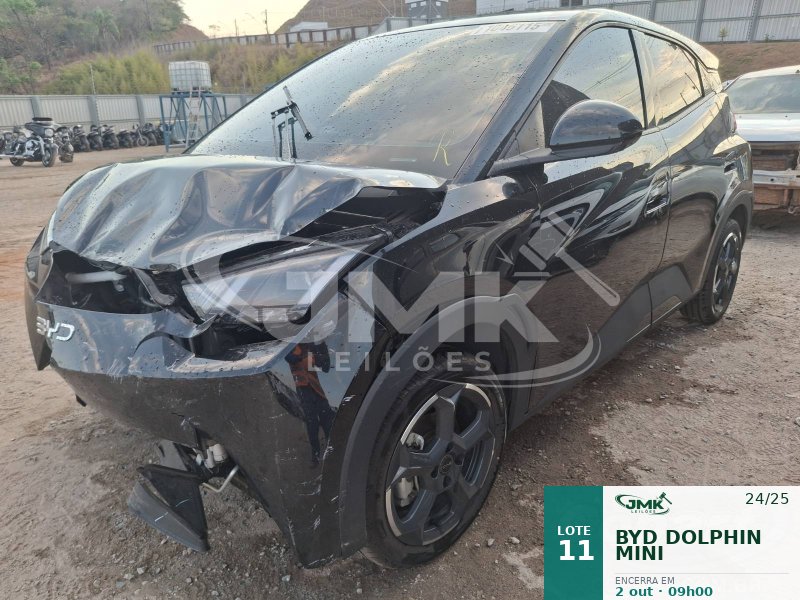 BYD DOLPHIN MINI 24/25