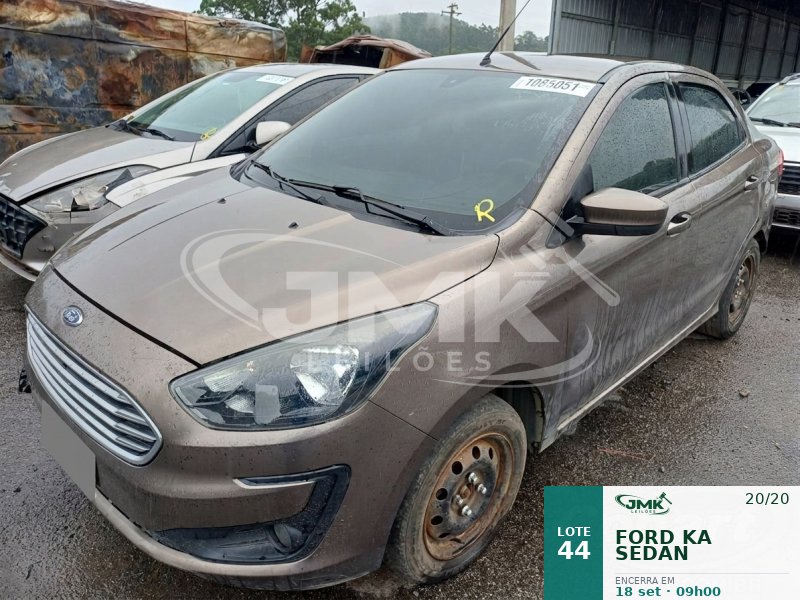Lote 44