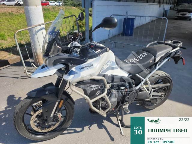 TRIUMPH TIGER 22/22